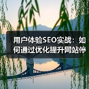 用户体验SEO实战：提升停留时间与参与度的必看案例-辰飞雨云笔网策(图4)