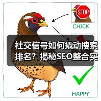 社交信号如何撬动搜索排名？揭秘SEO整合实战策略(图4)