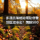 如何通过多语言布局攻占全球搜索排名？-辰飞雨云笔网策(图4)
