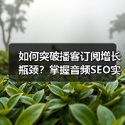 为何你的播客订阅增长停滞？揭秘播客SEO成功秘诀-辰飞雨云笔网策(图2)