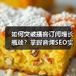 为何你的播客订阅增长停滞？揭秘播客SEO成功秘诀-辰飞雨云笔网策(图4)