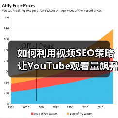 视频SEO成功案例：从零到8万观看的破局之道-辰飞雨云笔网策(图2)