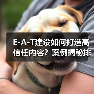 如何打造高信任度内容？E-A-T建设全攻略-辰飞雨云笔网策(图4)