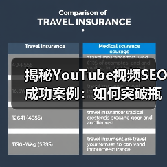 YouTube视频SEO破局指南：成功案例揭秘观看增长秘诀-辰飞雨云笔网策(图4)