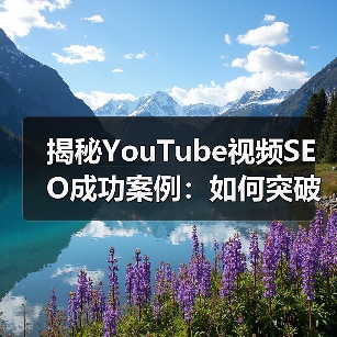 YouTube视频SEO破局指南：成功案例揭秘观看增长秘诀-辰飞雨云笔网策(图3)