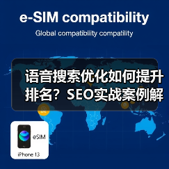 语音搜索优化怎么做到？提升排名的秘密技巧-辰飞雨云笔网策(图3)
