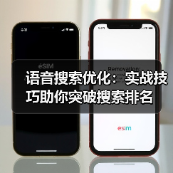 语音搜索优化如何突围？掌握3大策略抢占排名C位-辰飞雨云笔网策(图2)