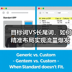 目标词VS长尾词，如何精准布局实现流量爆发？(图2)