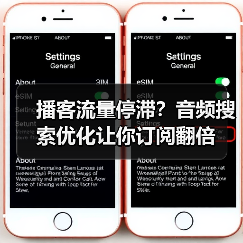 播客SEO实战技巧：解锁音频搜索增长密码-辰飞雨云笔网策 - 辰飞雨云笔网策