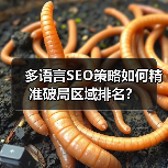 多语言SEO策略如何精准破局区域排名？(图2)