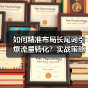 关键词策略实施全攻略：精准长尾词布局提升转化率-辰飞雨云笔网策(图3)