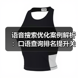 语音搜索优化实战指南：提升网站排名与流量的关键技巧-辰飞雨云笔网策 - 辰飞雨云笔网策