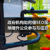 政府机构SEO优化：破解公众信任与参与难题-辰飞雨云笔网策(图3)