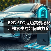 B2B SEO成功案例：如何实现企业线索爆炸增长？-辰飞雨云笔网策(图2)