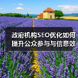 政府机构SEO怎么提升公众参与？揭秘信息