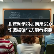 非营利组织如何用SEO实现捐赠与志愿者招募的突破？(图3)