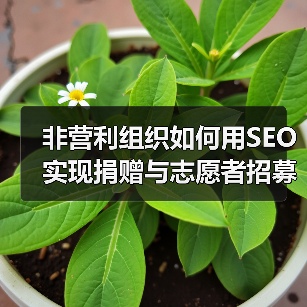 非营利组织如何用SEO实现捐赠与志愿者招募的突破？(图4)