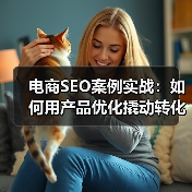 电商SEO案例实战：如何用产品优化撬动转