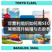 非营利组织如何用SEO策略提升捐赠与志愿者招募？(图2)
