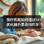 医疗机构如何通过SEO优化提升患者预约率?(图2) 医疗机构如何通过SEO优化提升患者预约率?(图2)