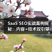 SaaS SEO实战案例揭秘：内容+技术双引擎拉动流量转化(图2)