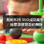 揭秘B2B SEO成功案例：线索激增背后的策略(图4)