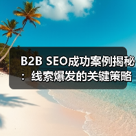 B2B SEO成功案例揭秘：线索爆发的关