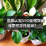 品牌认知SEO如何突破搜索可见性瓶颈?(图4) 品牌认知SEO如何突破搜索可见性瓶颈?-辰飞雨云笔网策(图4)