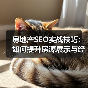 房地产SEO实战技巧:如何提升房源展示与经纪人推广效果?(图4) 你还在用老方法推广房源?房地产SEO策略全解析-辰飞雨云笔网策(图4)