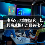 电商SEO案例研究：如何高效提升产品转化？ - 辰飞雨云笔网策