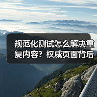 规范化测试怎么解决重复内容?权威页面背后的真实操作秘诀(图4) 规范化测试:如何解决重复内容提升SEO排名-辰飞雨云笔网策(图4)
