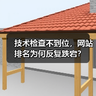 技术检查不到位,网站排名为何反复跌宕?(图2) SEO验证测试如何确保网站排名稳定性?技术检查关键作用-辰飞雨云笔网策(图2)