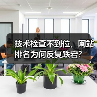 技术检查不到位,网站排名为何反复跌宕?(图3) SEO验证测试如何确保网站排名稳定性?技术检查关键作用-辰飞雨云笔网策(图3)