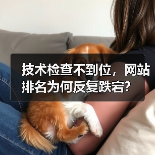 技术检查不到位,网站排名为何反复跌宕?(图4) SEO验证测试如何确保网站排名稳定性?技术检查关键作用-辰飞雨云笔网策(图4)