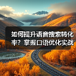 如何提升语音搜索转化率?掌握口语优化实战技巧(图3) 如何提升语音搜索转化率?掌握口语优化实战技巧(图3)