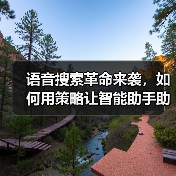 语音搜索革命来袭,如何用策略让智能助手助你一臂之力?(图4) 语音搜索革命来袭,如何用策略让智能助手助你一臂之力?(图4)