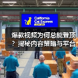 爆款视频为何总能登顶？揭秘内容策略与平台优化的核心秘诀 - 辰飞雨云笔网策