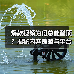 爆款视频为何总能登顶?揭秘内容策略与平台优化的核心秘诀(图2) 爆款视频为何总能登顶?揭秘内容策略与平台优化的核心秘诀(图2)