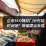企业SEO跨部门协作如何突破？框架建设关键解析(图3)