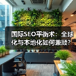 国际SEO平衡术：全球化与本地化如何兼顾？(图3)