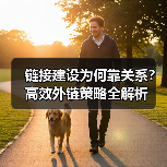 链接建设为何靠关系?高效外链策略全解析(图3) 链接建设为何靠关系?高效外链策略全解析(图3)