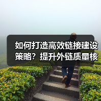 如何打造高效链接建设策略?提升外链质量核心方法(图4) 如何打造高效链接建设策略?提升外链质量核心方法(图4)