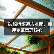 破解组织适应难题，解锁变革管理核心 - 辰飞雨云笔网策