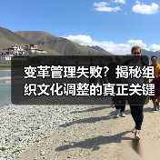 变革管理失败？揭秘组织文化调整的真正关键！(图3)