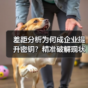 差距分析为何成企业提升密钥？精准破解现状与目标难题(图3)