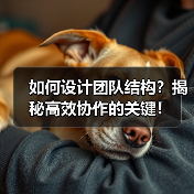 如何设计团队结构?揭秘高效协作的关键!(图4) 如何设计团队结构?揭秘高效协作的关键!(图4)