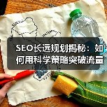 SEO长远规划揭秘:如何用科学策略突破流量瓶颈?(图2) SEO长远规划揭秘:如何用科学策略突破流量瓶颈?(图2)
