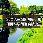SEO长远规划揭秘:如何用科学策略突破流量瓶颈?(图3) SEO长远规划揭秘:如何用科学策略突破流量瓶颈?(图3)