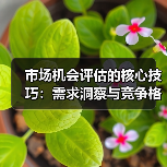 市场机会评估的核心技巧：需求洞察与竞争格局解析(图4)