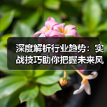 深度解析行业趋势：实战技巧助你把握未来风